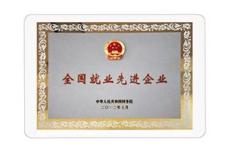 全國就業(yè)先進企業(yè)