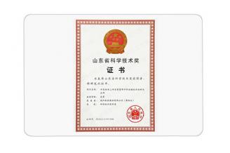 山東省科學(xué)技術(shù)獎