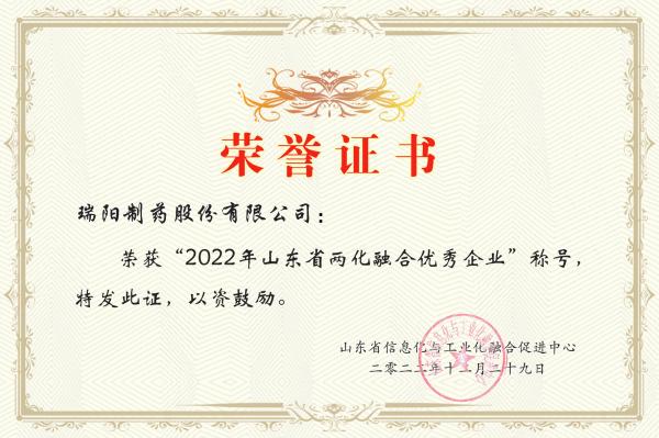 20-年山東省兩化融合優秀企業.jpg