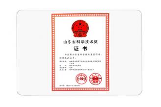 山東省科學(xué)技術(shù)獎