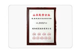 山東民營企業(yè)醫(yī)養(yǎng)健康行業(yè)領(lǐng)軍10強(qiáng)